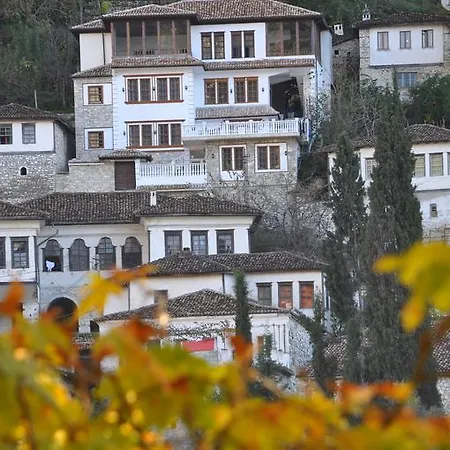 Guest house Elena *